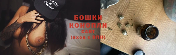 винт Бородино