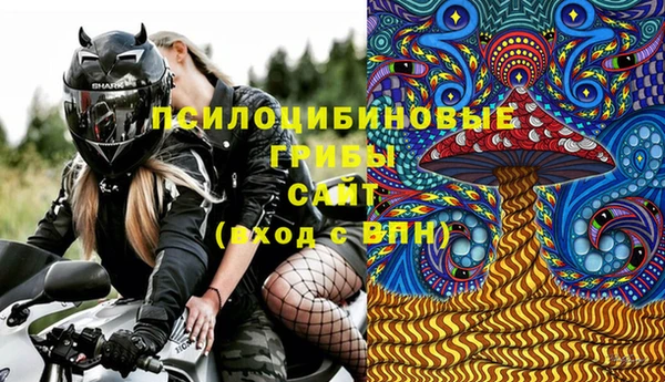 винт Бородино