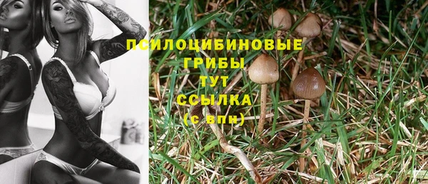 винт Бородино