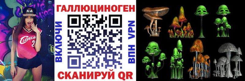 Галлюциногенные грибы Psilocybine cubensis  Купить  Новопавловск 